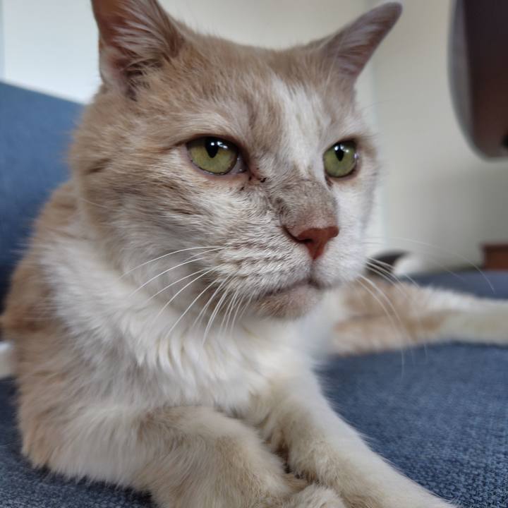 Ab806128 40a4 4447 baf1 49fa374eaff2 1726871142346