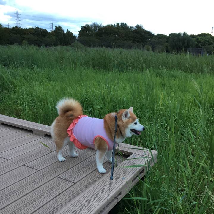 Ab80af60 a144 459d bc32 65da2b245b52 1536414976102