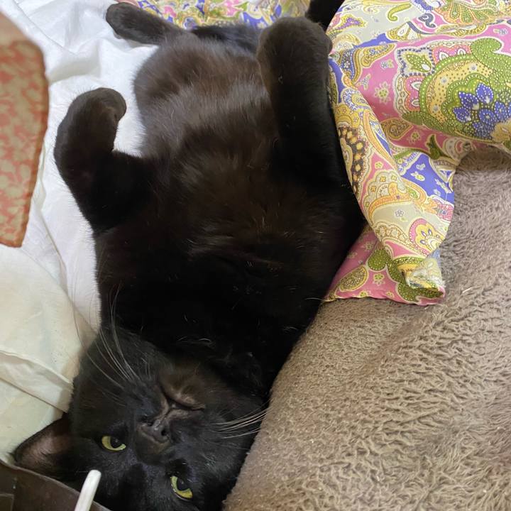 Ab80bb37 e8c0 486e 9379 b97f5c64c1c1 1645794854051