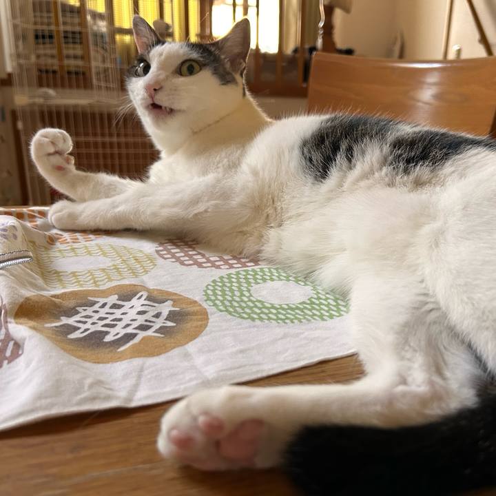 Ab80bdf5 7c83 4b6d 863b c3c5c3beb783 1753393112785