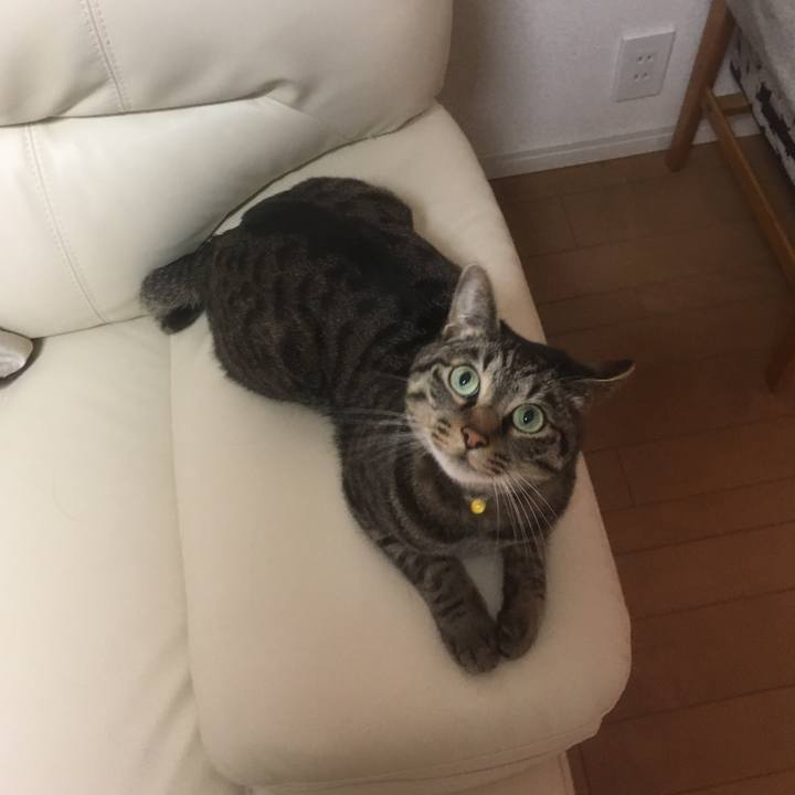 Ab80cff5 ad5b 43df b7aa 924f317f3597 1556594347525