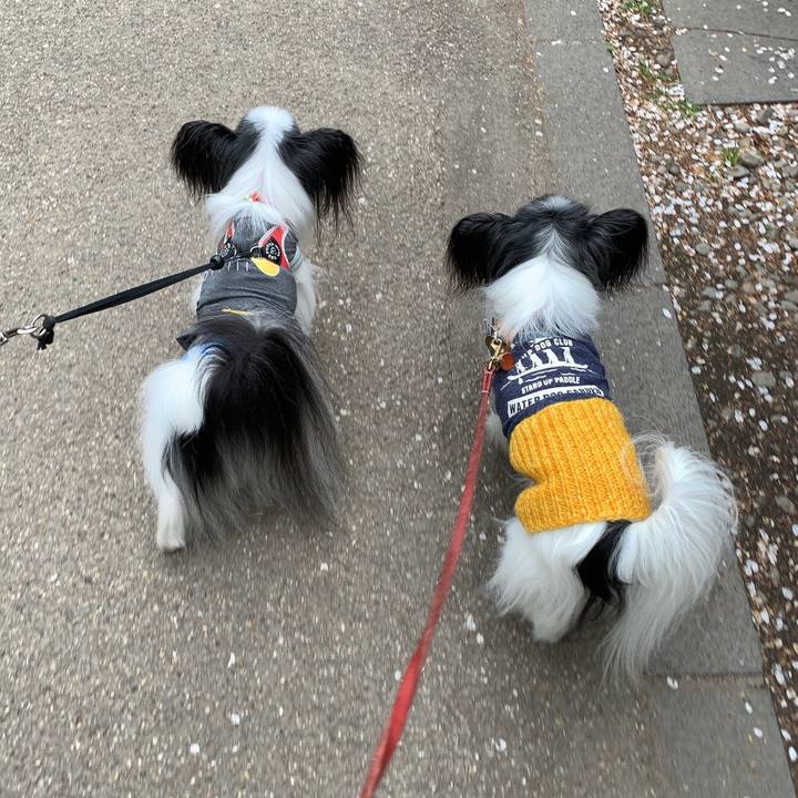 Ab812afd cc4b 4b9b 94ca 817e7ad9bee9 1651264728763