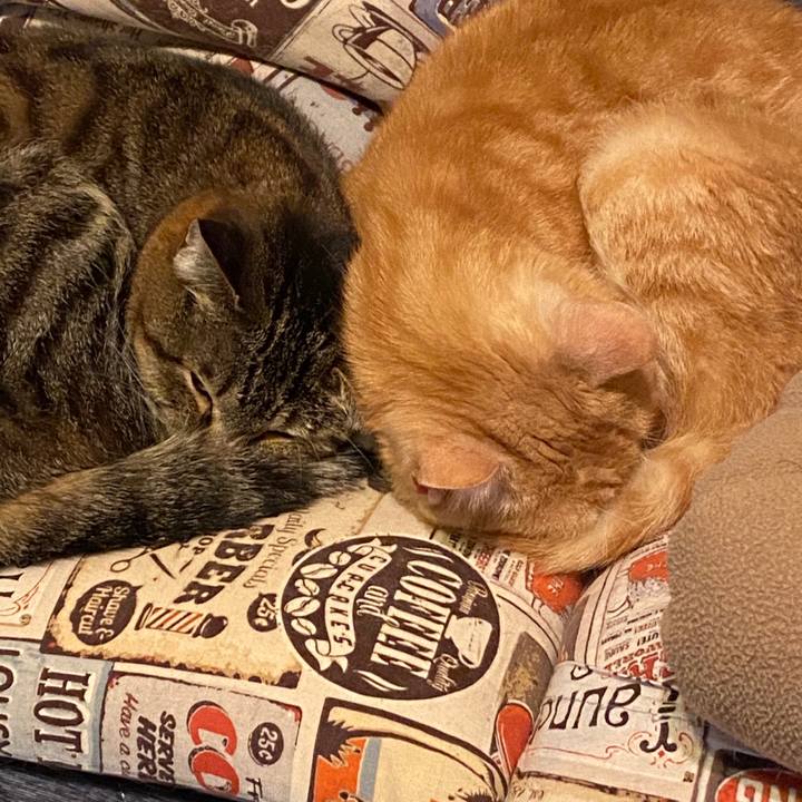 Ab815b67 9129 468b ba7f 6f7132612110 1583493532005