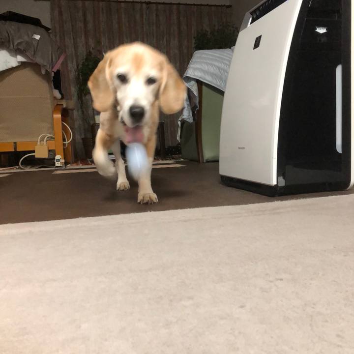 Ab817719 c08b 42e5 b9a5 78c644953755 1551619842051