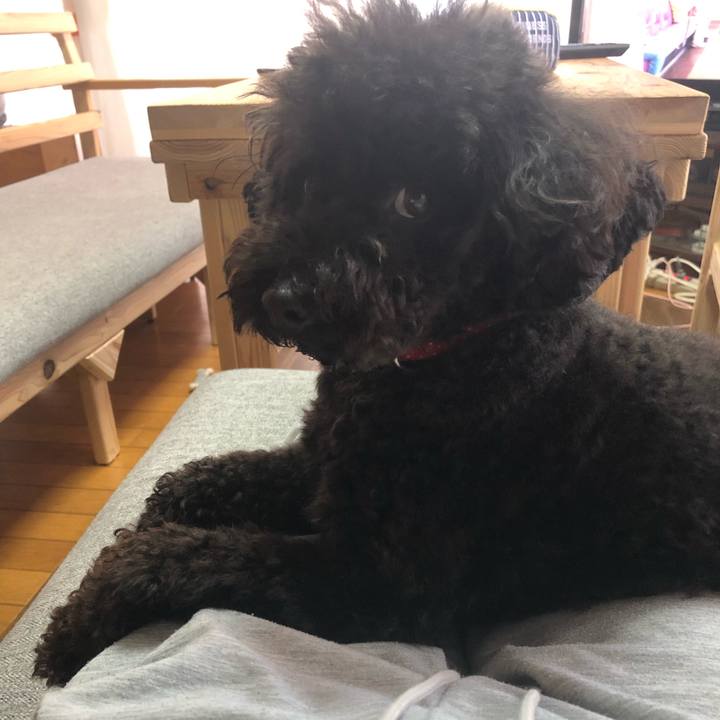 Ab8191ac 0a4d 44a6 b1b9 3481ee2b0654 1597105160542