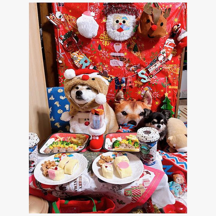 Ab81c899 d199 4e65 81f8 17a00d530f99 1671965097643