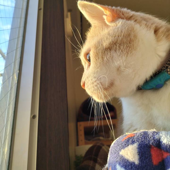 Ab81e6fd e71e 4977 9d9a 3b028e006515 1637880897417