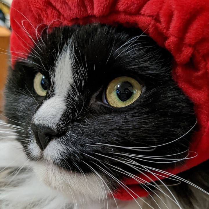 Ab81ede0 8f0b 4fda ae30 3c75ef023f91 1669118413702