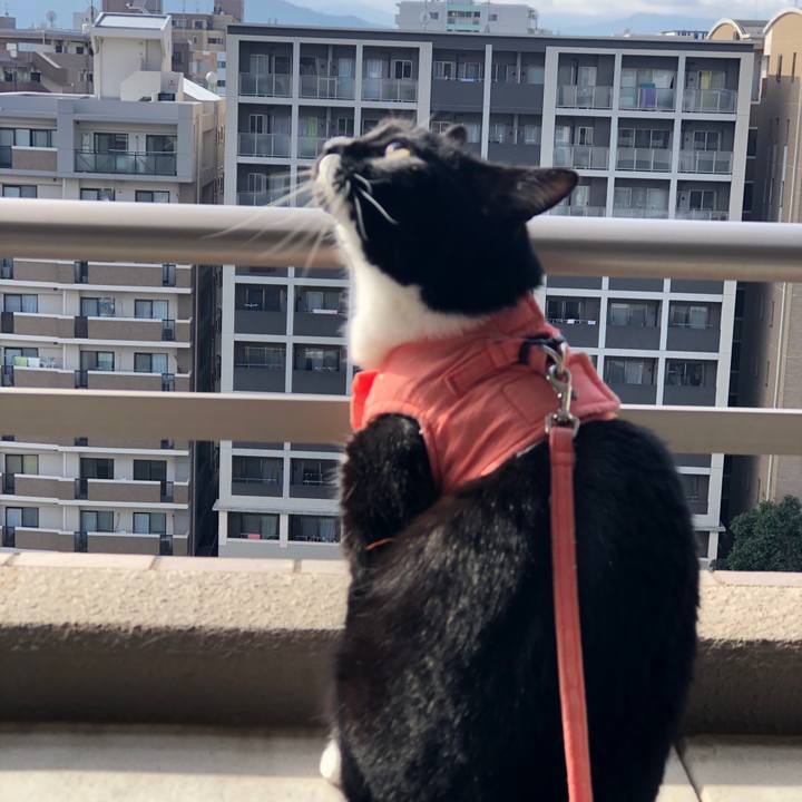 Ab81ef55 c312 4443 9733 658764c64593 1580619377870