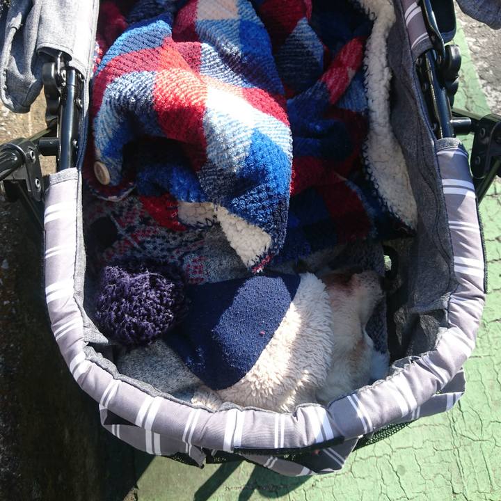 Ab820756 f3bb 4757 a9a2 77560a5f929c 1547948087857