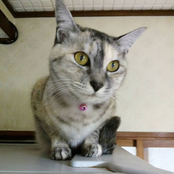 Ab82105f 421b 4513 a596 9950c324a6ca 1512208047749