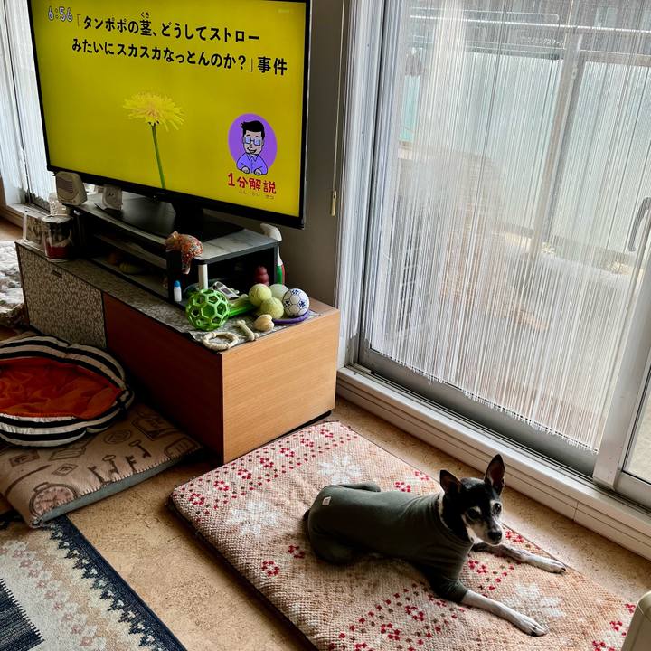 Ab82220b ebe4 43c4 9cb6 d7f37cbb7044 1648159810744