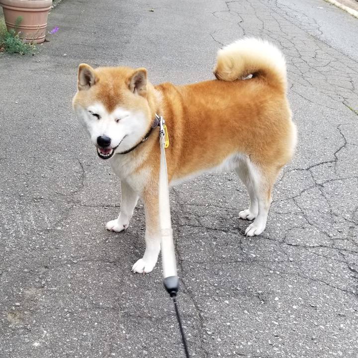 Ab823f29 8cc1 4d1b 8c54 3f6852070f9b 1633758451215