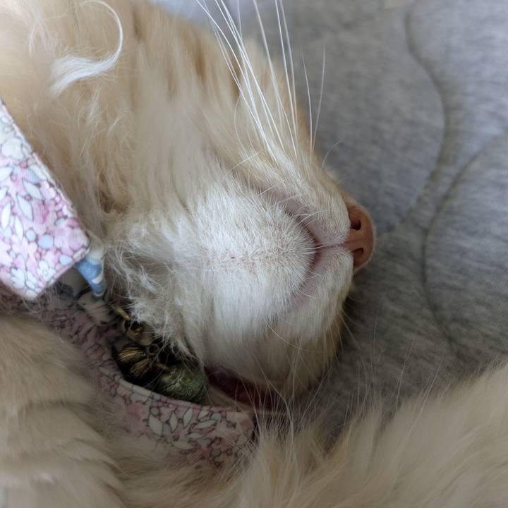 Ab82543b 5bbf 4c8a 8ca1 8af96460abe3 1755913031830