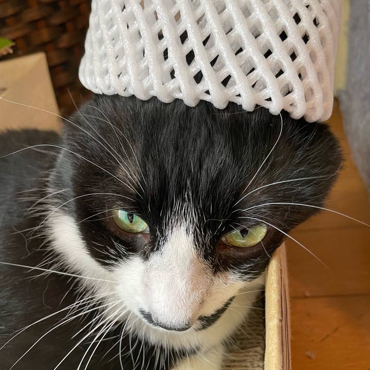 Ab826d1f aafe 4619 a30f 6f733693a20b 1690677644272