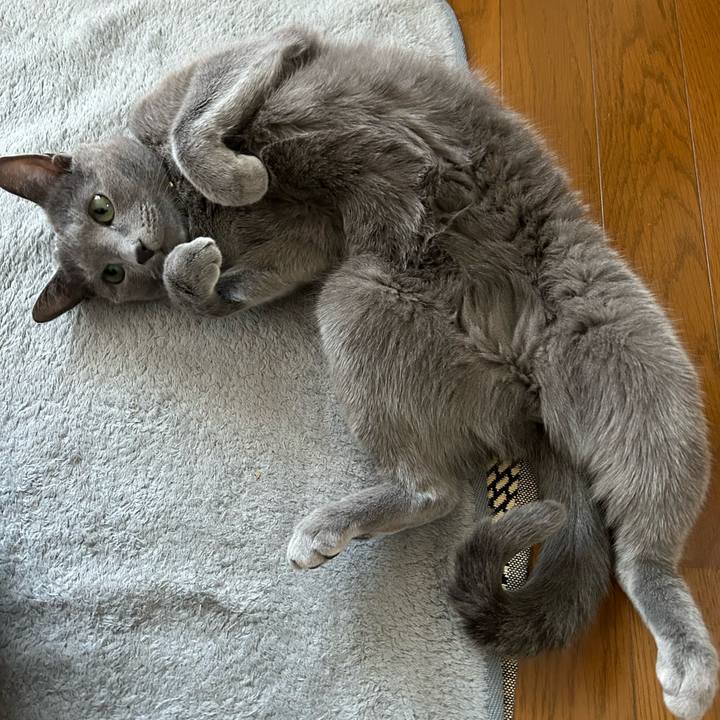 Ab8281d2 6408 4d95 a845 000b5b34b454 1681251420279