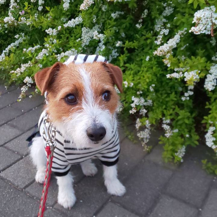 Ab8292de 7ed0 49bb a159 b933b92ea3e1 1554456400463