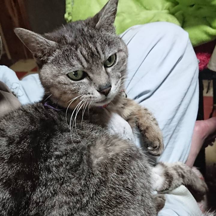 Ab82aba6 4f59 4ef3 bae4 fae45fb867c7 1588745705016