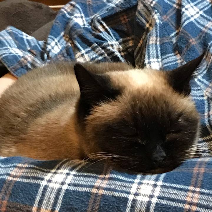 Ab82db51 3e91 47eb 9e84 b6074c7214d6 1556340423881