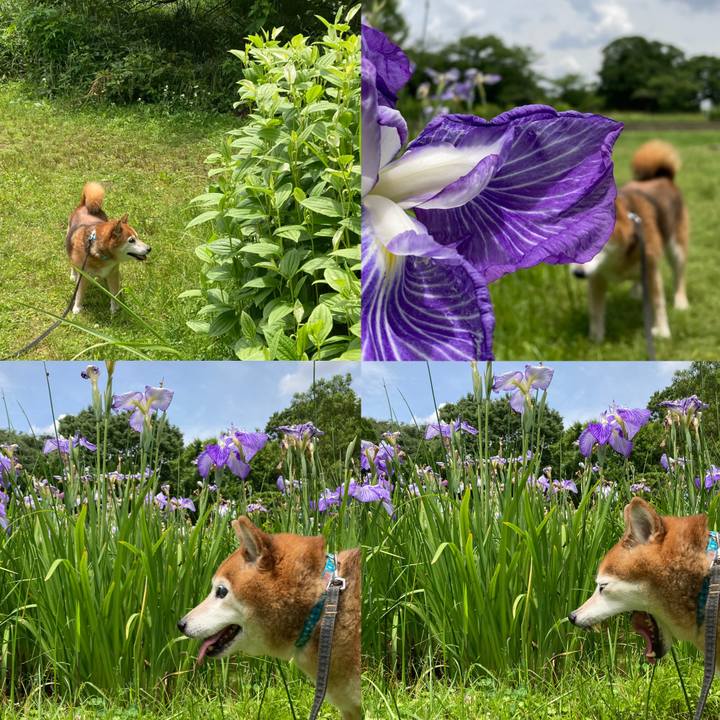 Ab82ea7f 495e 43c6 889b 8cb42fdfe363 1717733265001