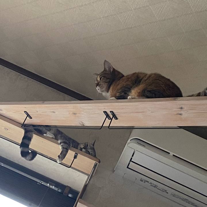 Ab82ef6c a61e 4f85 982b 9445cd68a6d0 1663461617443