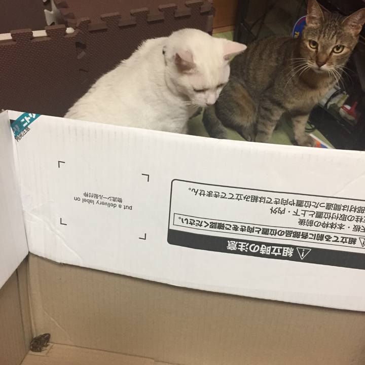 Ab8311f1 1652 41a3 9b1f b444ee1afea8 1534415803049