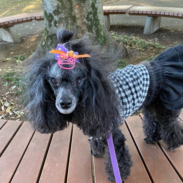 Ab833b1c 976c 4063 beb5 018c1f6b2fc8 1697255642639