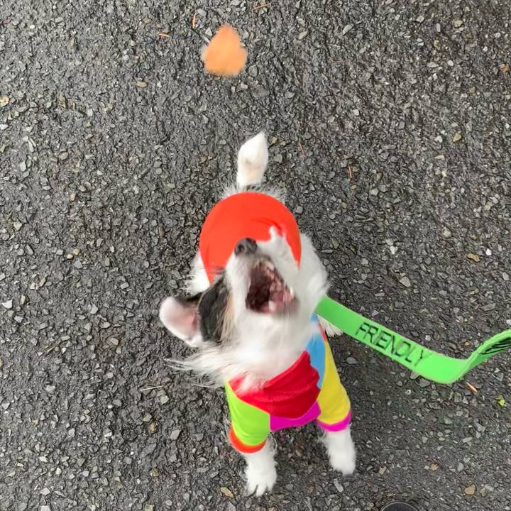 Ab834065 cd1a 441f ba50 99d318844d67 1682813666236