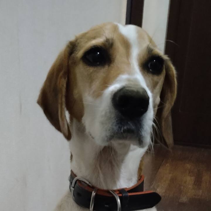 Ab834c0d e5c5 407a 84e9 af53d73a2fbd 1634013084733