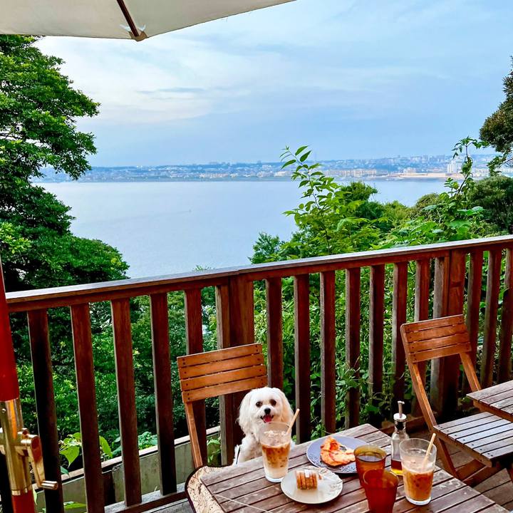 Ab834e4b 7108 41dc 9c1d d209affee689 1663126837131