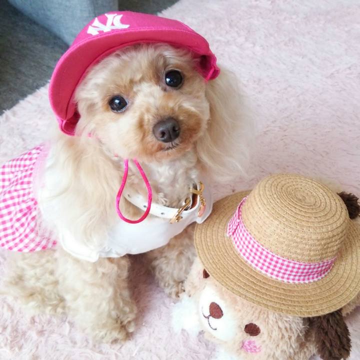 Ab838913 49ee 449b 90fa 6137e7ce2320 1551870821995