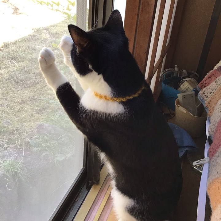 Ab83a278 2d8b 40d7 b872 e10d75475c90 1647058409751