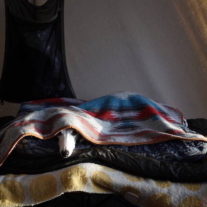 Ab83b054 4b0e 4232 9ef5 7c26e90a36c1 1542880161995