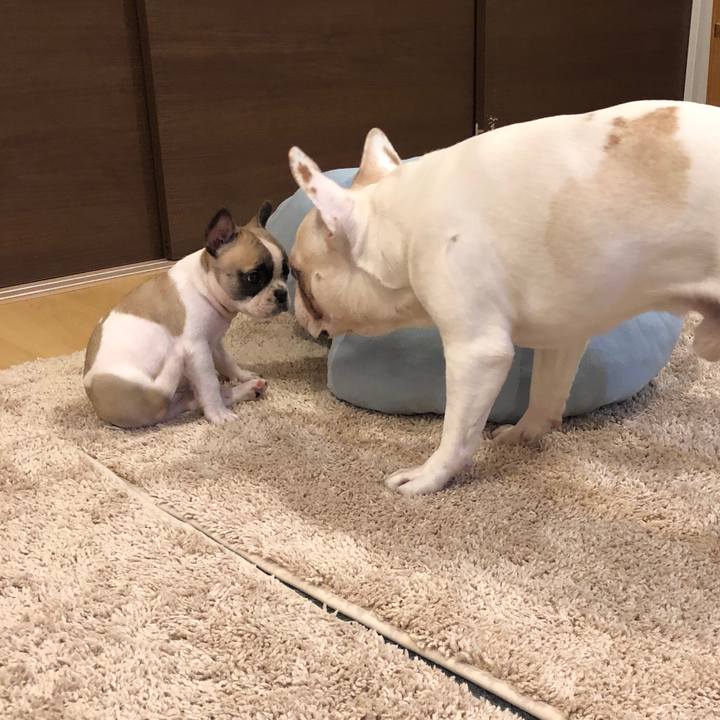 Ab83d49a dac5 4974 bd61 10637eea8476 1555230457507