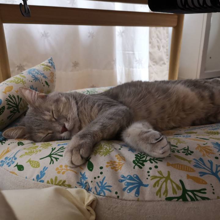 Ab843920 e338 4a34 9c8d f1b099d91a33 1564628206407