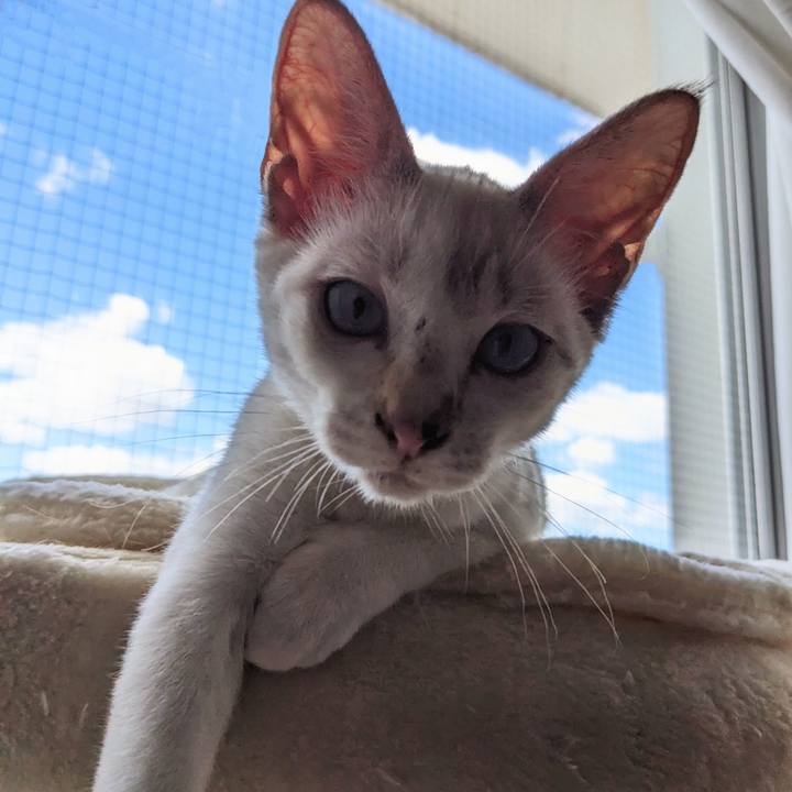 Ab84771b b2dd 4834 9a1d 766153e595fc 1691067633866