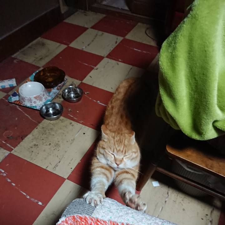 Ab847815 0233 4f00 9afc db2690129e38 1583351599175