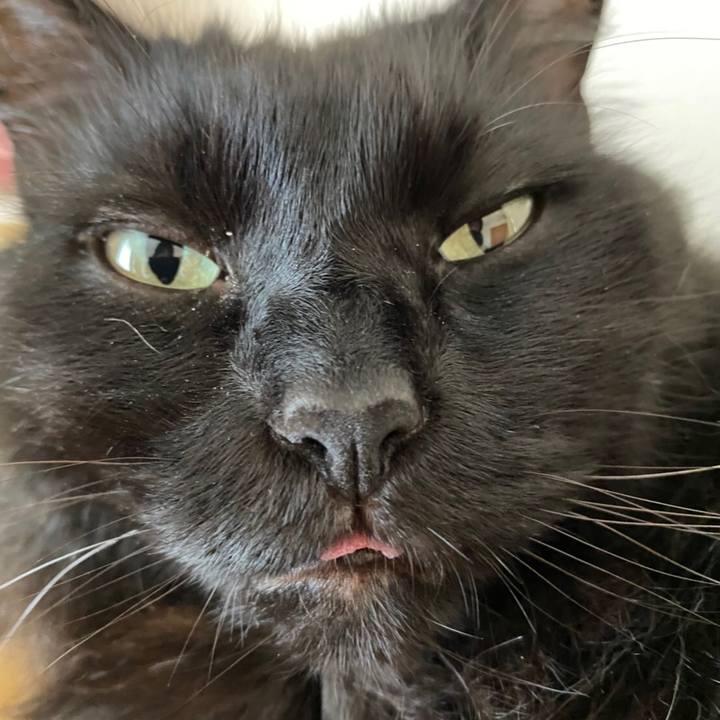 Ab848517 f8f0 4396 b745 6e4860ae6817 1596845347540