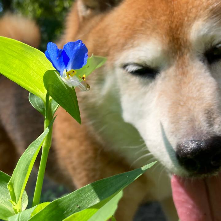 Ab849adf 4523 4689 8664 9b63fe5acc0a 1722748568189