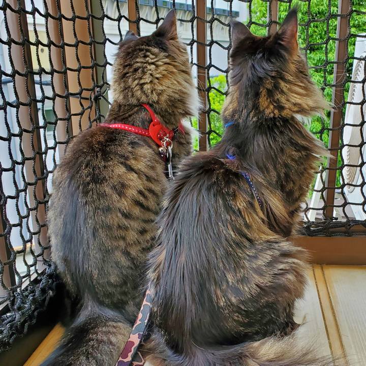 Ab84a736 2d93 401c 80b0 27714b481bf5 1685331212301