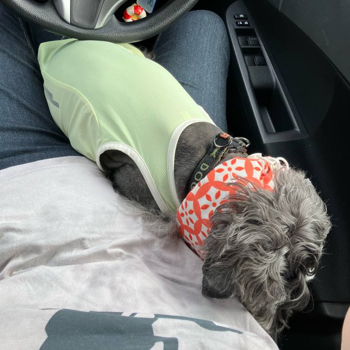 Ab84a8d6 498e 43d3 9b1c d10ec5e5c86a 1726626962057