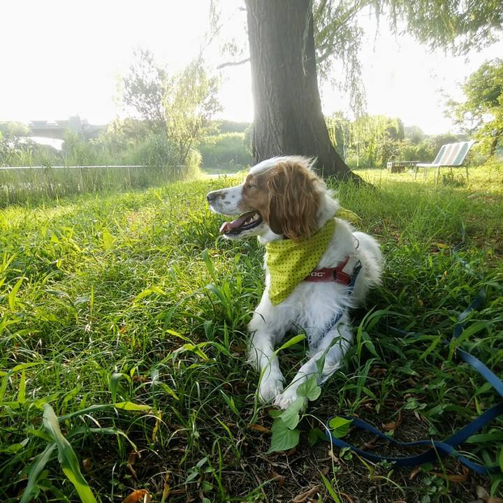 Ab84bd9a 755a 4392 ab5c 4660544e388a 1564918383683