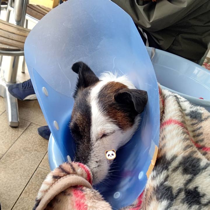 Ab84e7a9 c84b 4f5e bbae fd59e2bc99a9 1669643289105