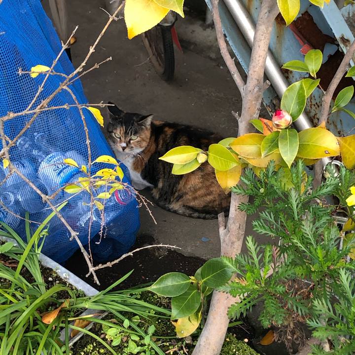 Ab84ef36 4362 4bcf a3b2 f36a5ae5016b 1584630229558