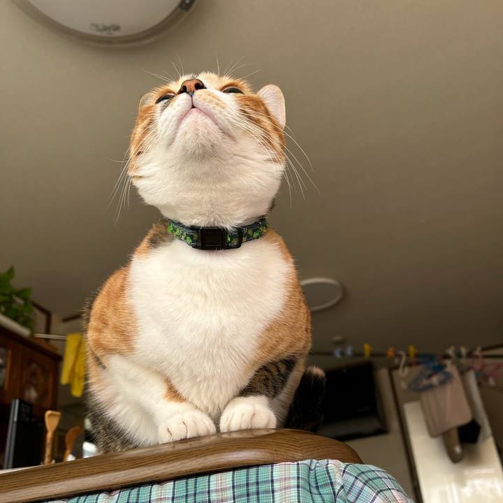 Ab84f662 5113 4b84 ac8c 1e5a5a6887ba 1770173956867