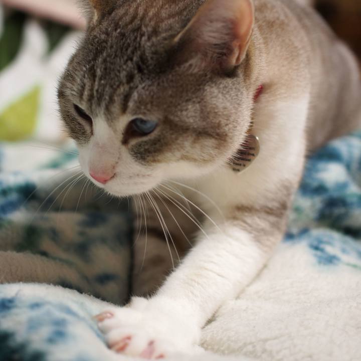 Ab851cce f194 456a 8cca d9626441bb0b 1587439593023