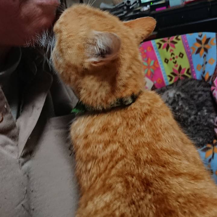 Ab851d8f c80b 4dc3 bc6b 829ffb5150f5 1584654774915