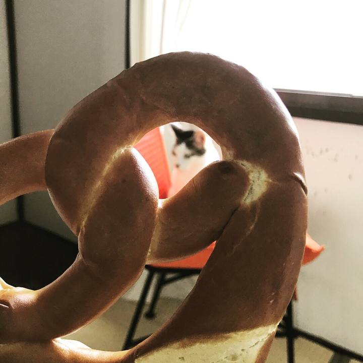 Ab854a87 c315 477c 80c0 3d655d11d034 1526359117708