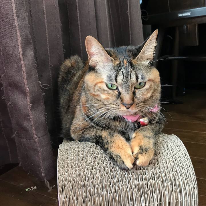 Ab857e93 f6f1 4292 8486 1f7f55dd58cd 1513995133330