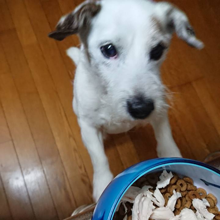 Ab85a632 3f3b 4d33 b234 c724a937c311 1559257106475